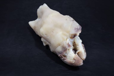 pied de veau.jpg